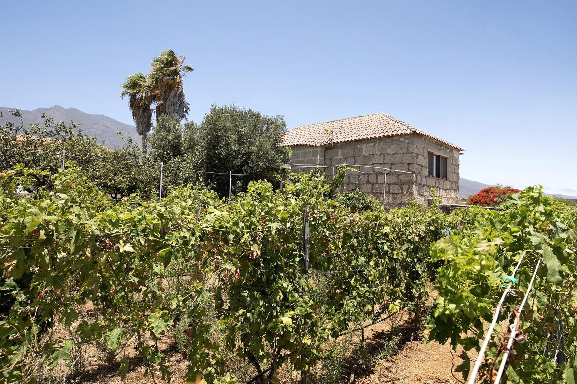 Apartament Tres Palmeras